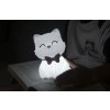 Silikonová noční lampička - Kočka