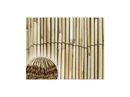 reedpil b bfa72f55ba39ae2c