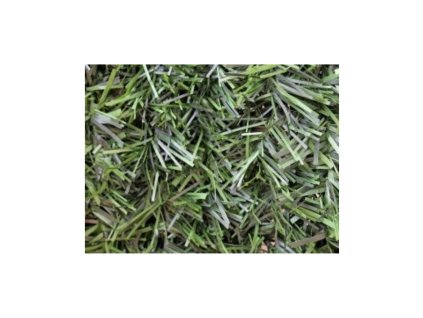 umely zivy plot b c8260a093f72335a