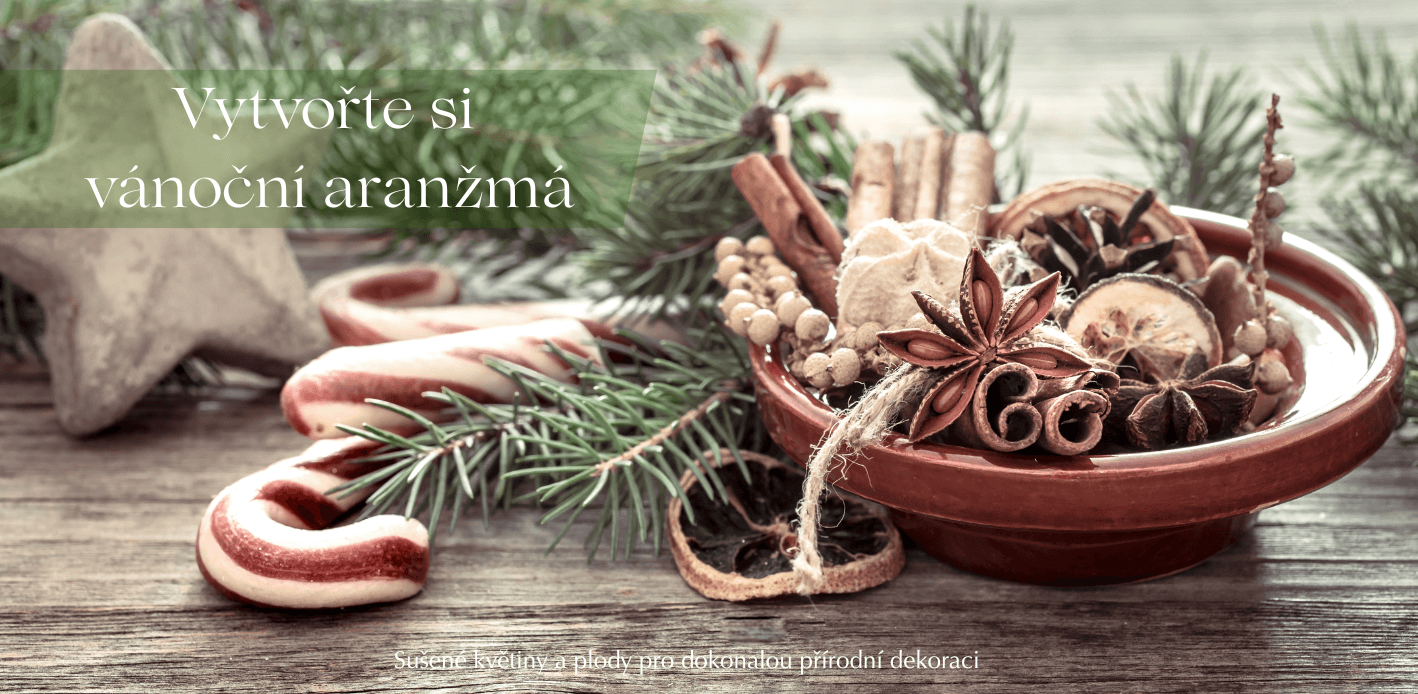 Vánoční tvoření ze sušených květin a sušených plodů