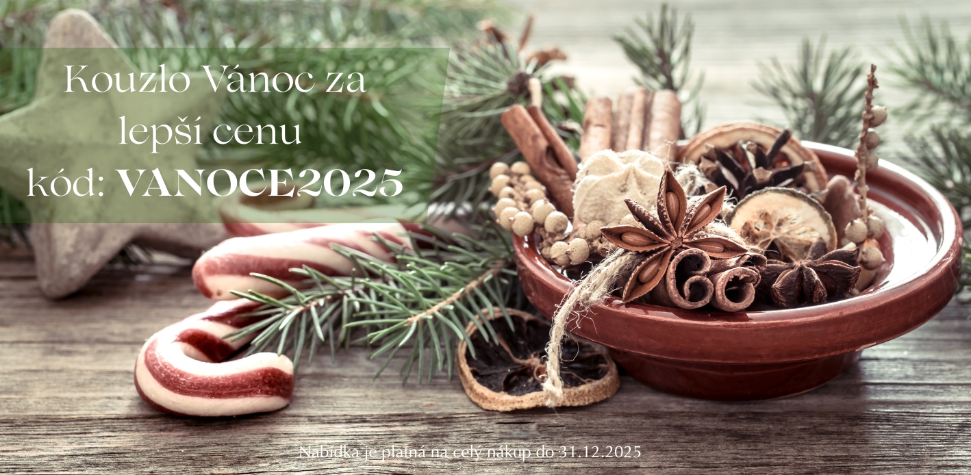 Vánoční tvoření ze sušených květin a sušených plodů