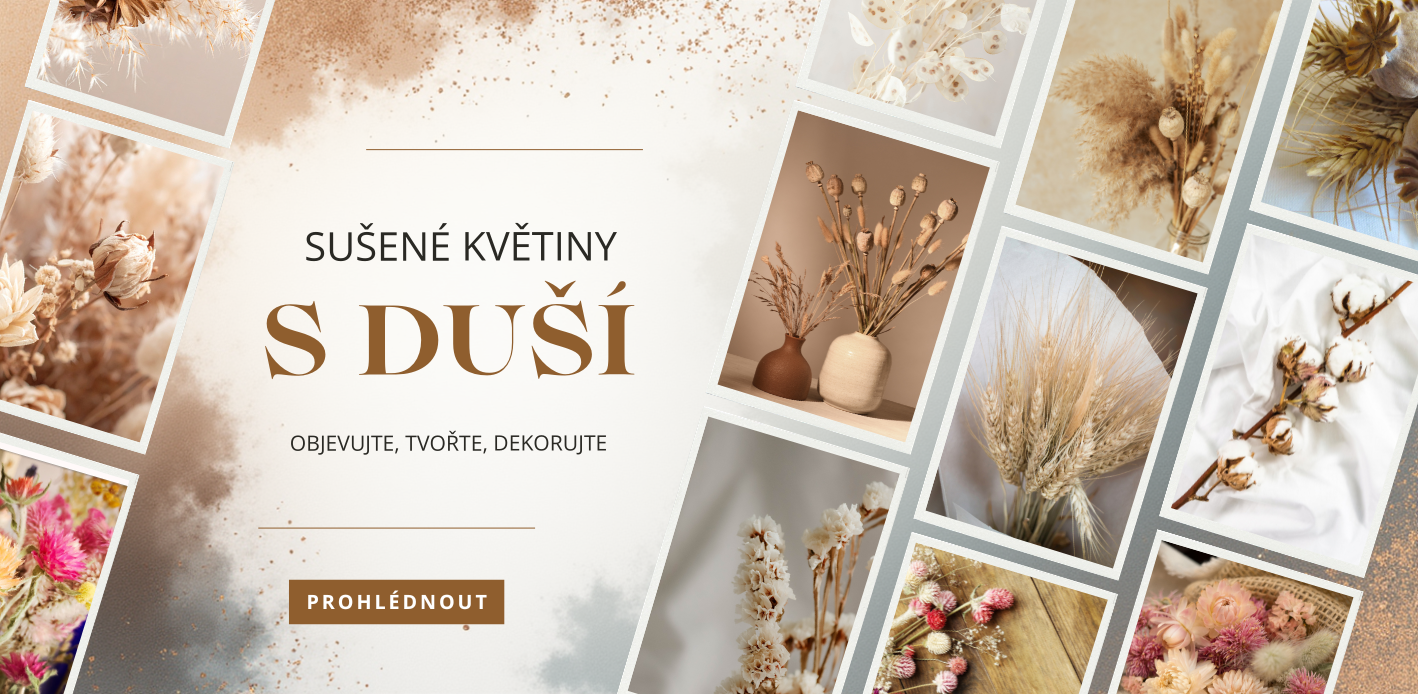 Sušené květiny