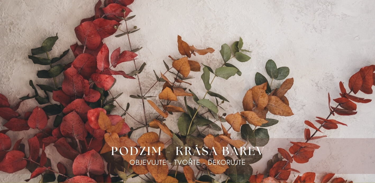 Sušené květiny - nevadnoucí krása