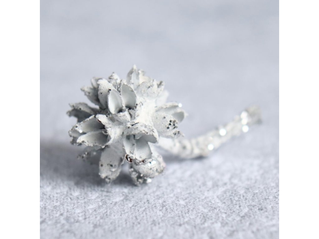 Divoký pepř stříbrná detail kus