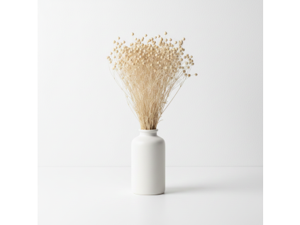 Sušený Len - bílá