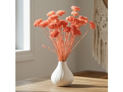 Sušina Achillea růžová ve váze na dřevěném stole