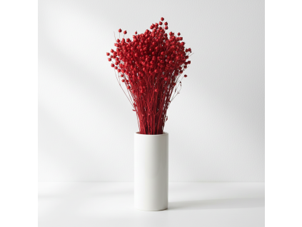 Sušený Len - bordo