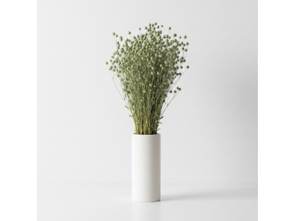 Sušený Len - světle zelená