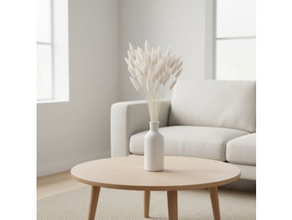 Lagurus sušený - bílá ve váze