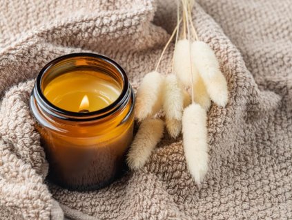 Sušené květiny Lagurus bílý