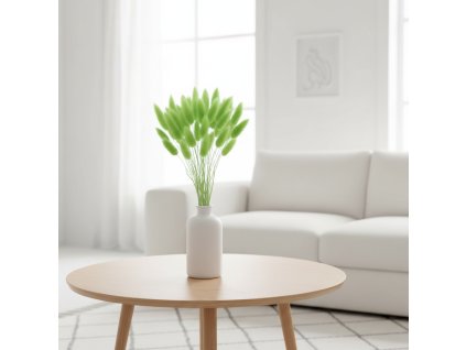 Lagurus sušený - zelená ve váze