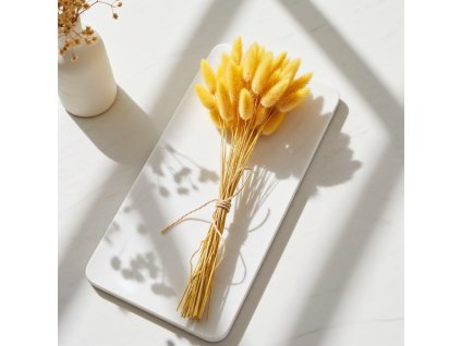 Lagurus sušený žlutá edited 4 3