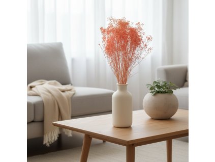 Sušený Broom Bloom - růžová ve váze