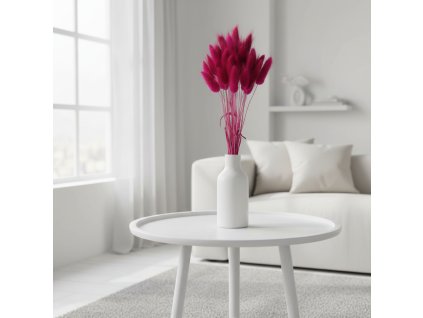 Lagurus sušený - erika ve váze