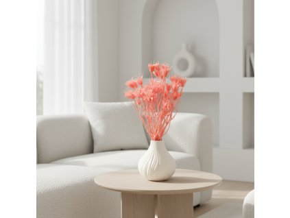 Sušená Nigella - růžová