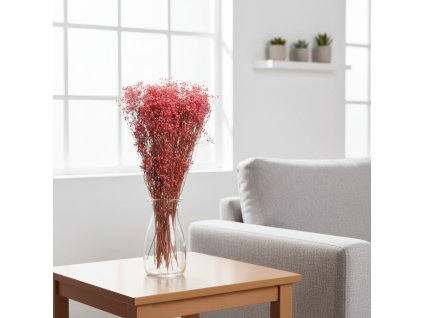 Sušený Broom Bloom - rosa/natur ve váze