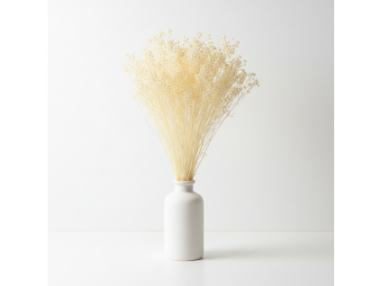 Sušený Broom Bloom bělený