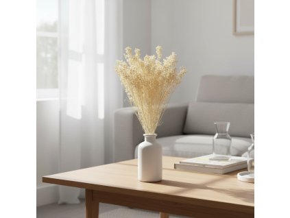 Sušený Broom Bloom - bělený ve váze
