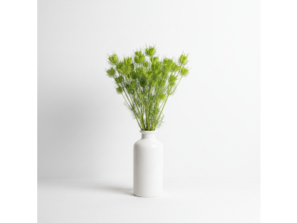 Sušená Nigella - zelená