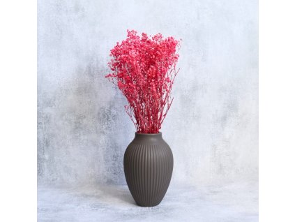 Stabilizovaná Gypsophila růžová ve váze