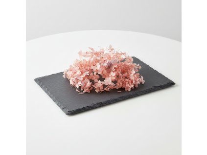 Stabilizovaná Hortenzie box pro aranžování - lososová 25g