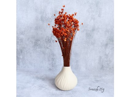 Sušená Glixia terracotta ve váze