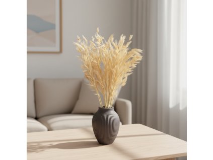 Sušená Avena selvatica - bílá svazek ve váze