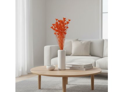 Sušená Nigella - oranžová ve váze