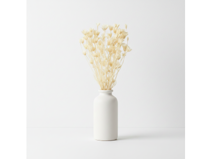 Sušená Nigella - bílá