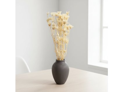 Sušená Nigella - bílá ve váze