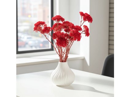 Sušina Achillea rosa:natur ve váze na bílém stole