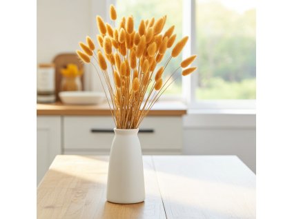 Lagurus sušený - albicocca ve váze