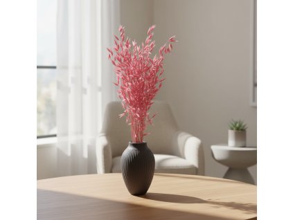 Sušená Avena selvatica - flider ve váze