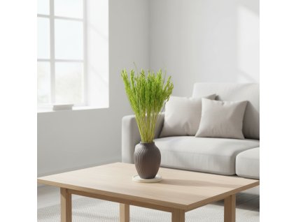 Sušená Avena - zelená ve váze