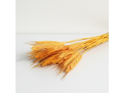 Pšenice vousatá sušená - pomerančová