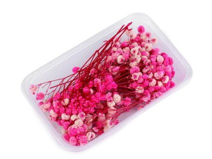 Stabilizovaná Gypsophila box - růžová