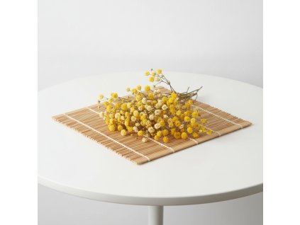 Gypsophila – žlutý box