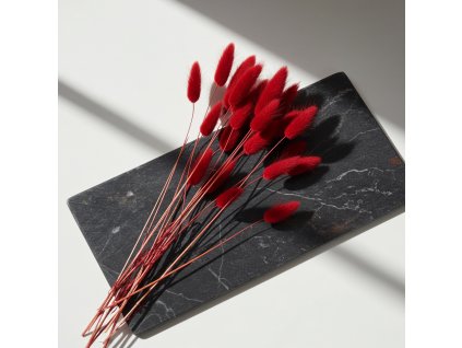 Lagurus sušený - bordo svazek 40ks