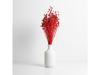 Sušený Len - červená