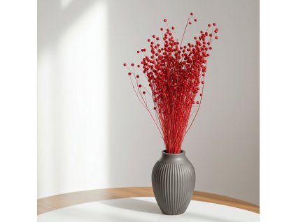 Sušený Len - červená ve váze