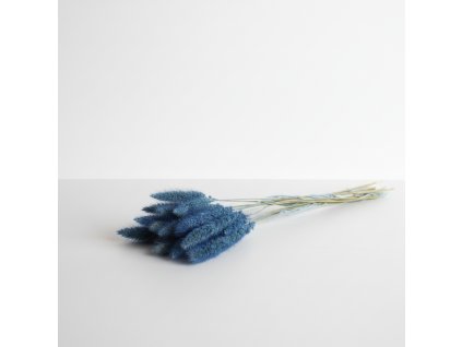 Setaria sušená - tm. modrá