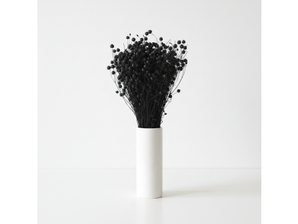 Sušený Len - černá