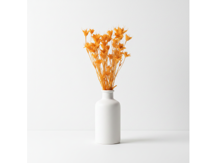 Sušená Nigella - albicocca