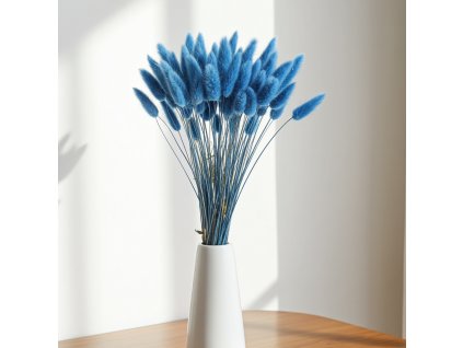 Lagurus sušený - modrá ve váze