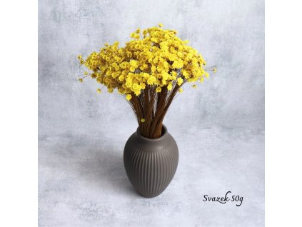 Sušená Glixia žlutá svazek 50g ve váze