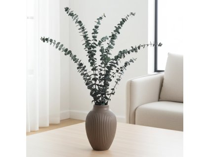 Eukalyptus baby blue stabilizovaný zelený edited 4