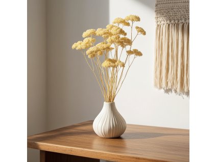 Sušina Achillea - bílá ve váze na stole