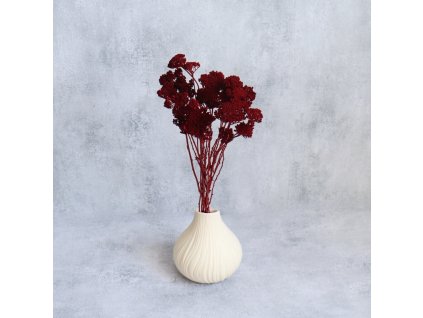 Sušina Achillea bordo ve váze