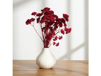 Sušená Achillea bordo ve váze na rustikálním stole