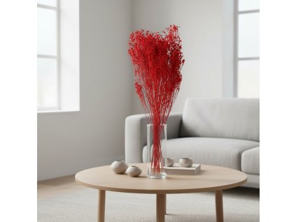 Sušený Broom Bloom - červená ve váze